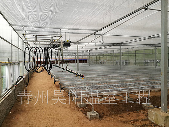 河南寶豐裕豐源農業(yè)育苗溫室